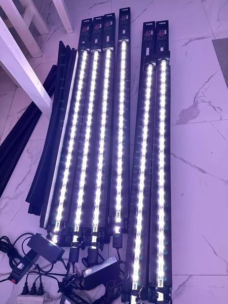 TICA 3 Color-up + Tanning Light